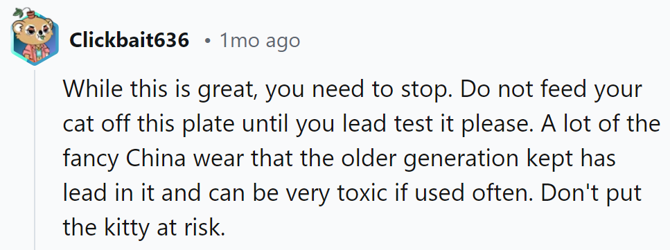 Serving Safety Tips with a Side of Caution. Lead Test Before Kitty's Feast!