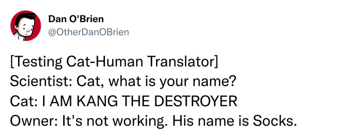 4. Cat-Human Translator