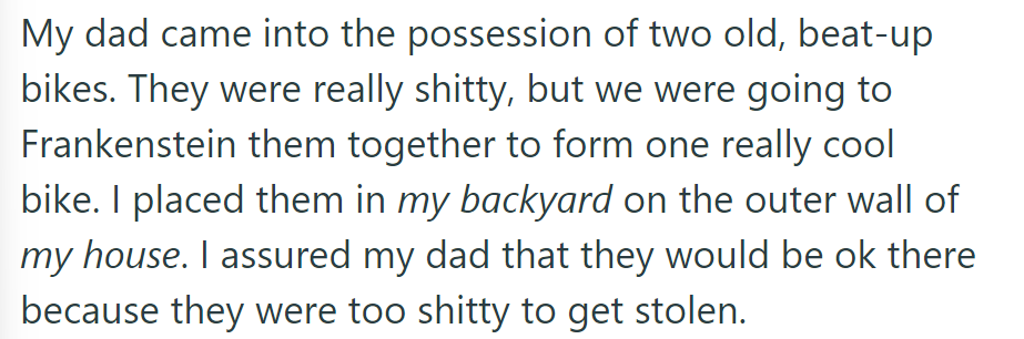 Father and Son (OP) Revamp Beat-Up Bikes in the Backyard, Confident They're Too Shabby to Steal.
