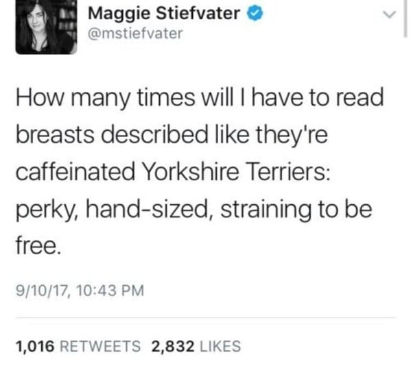 8. Yorkshire Terrier racks