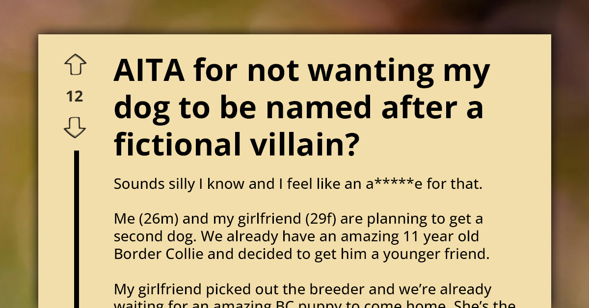 Redditor's Dilemma in Finding Harmony in Pet Naming Disputes