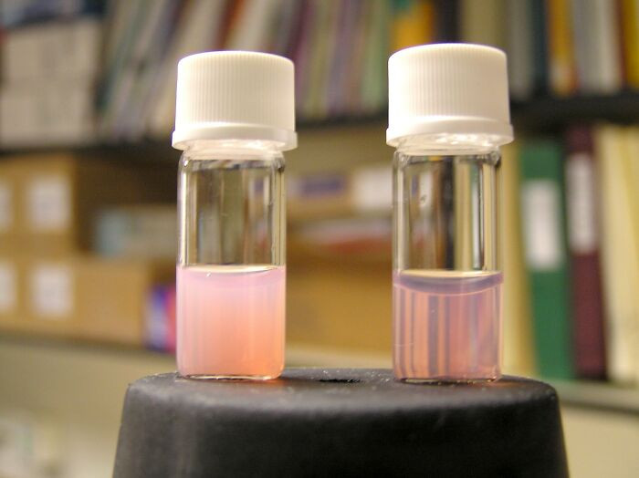 17. Blood plasma donations (you get paid for it)