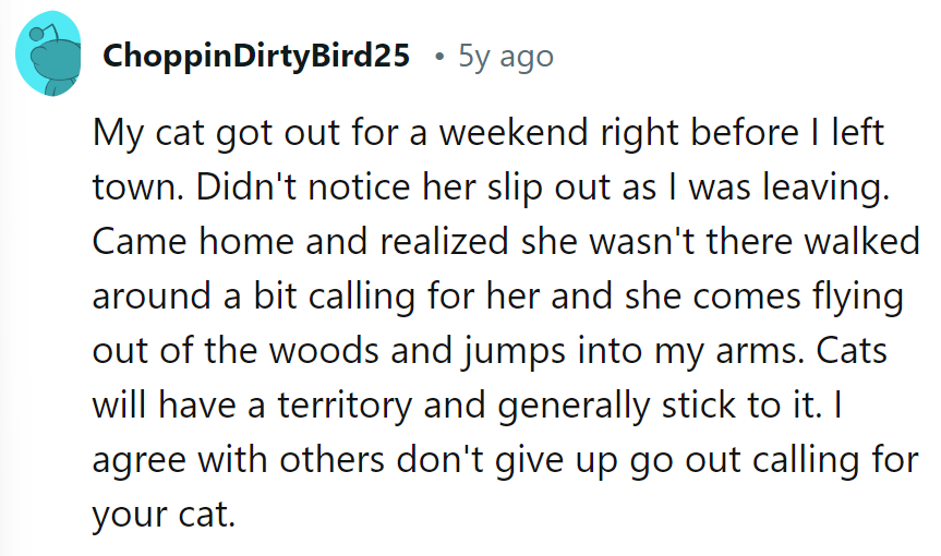Cat went MIA, then returned like a furry superhero. Keep calling; they've got territories to patrol but love a good homecoming.