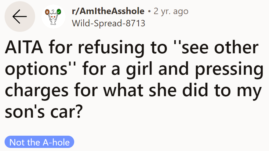 The OP believes that he should continue pressing charges against his son's ex for vandalizing his son's car.