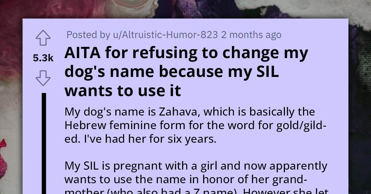 Redditor Resists Pregnant SIL's Request To Rename Their Dog So She Can Use The Name For Her Child