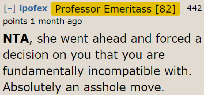 The Real A-Hole Here Is the Girlfriend. Why Does She Insist on Keeping the Cats When the OP Is Suffering from Cat Allergies?