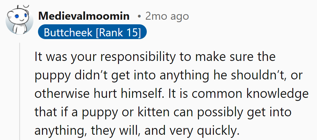 Lesson learned: Puppies and kittens have PhDs in mischief and a knack for finding trouble...