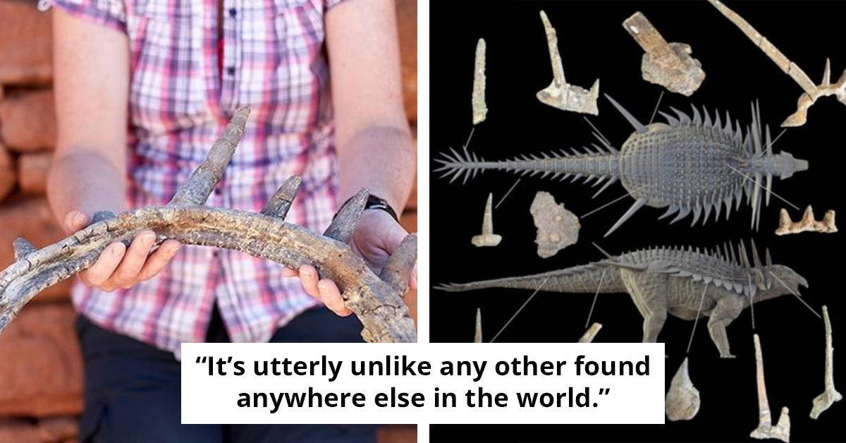 Meet Spicomellus, The Strangest Dinosaur Yet