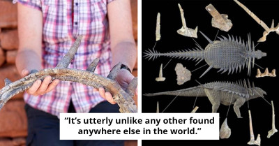 Meet Spicomellus, The Strangest Dinosaur Yet