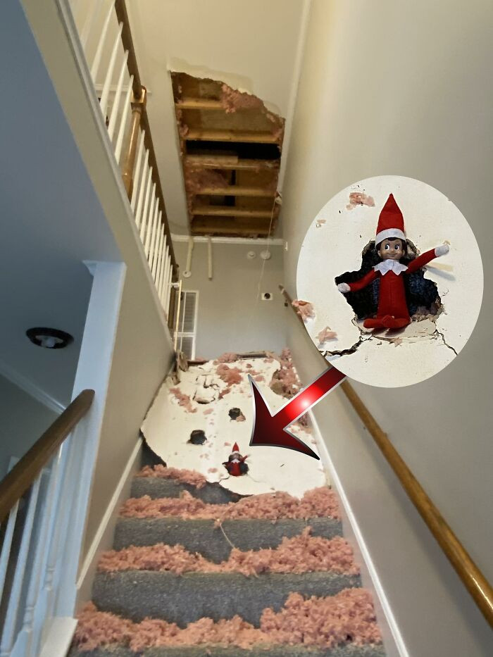 37. Not Sure Elvin Will Be Allowed Back Next Year!