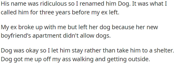 After his ex left, OP kept her dog since her new boyfriend's place didn't allow pets.