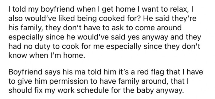 The OP told her boyfriend it would have been nice if they had at least cooked her some dinner as well. But the Redditor's boyfriend said his family has no duty to cook for her.