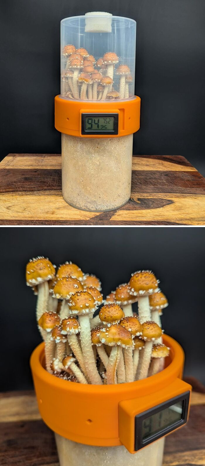"Handheld Mushroom Grow Kit I Designed"
