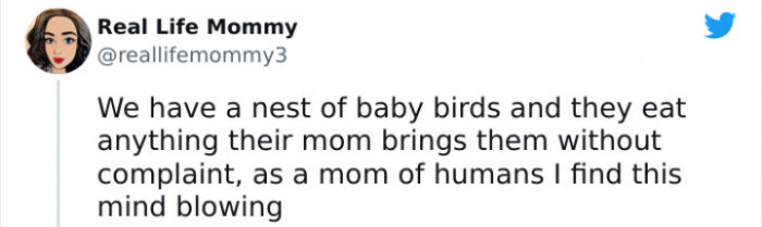 20. Humans Are a Different Breed