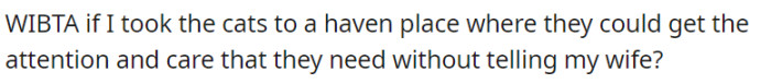 OP is contemplating whether they would be in the wrong if they were to secretly take their cats to a haven where they would receive the necessary care, without informing their spouse.