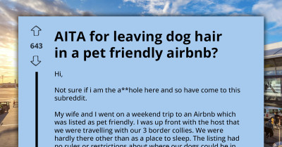 Couple Gets Shocked by the Review an Airbnb Host Left for Them After Staying Over with Their Dogs