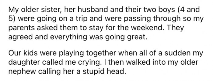OP said her older sister and her family came to stay for the weekend recently, and everything was going great until the Reddit user's little girl started crying.