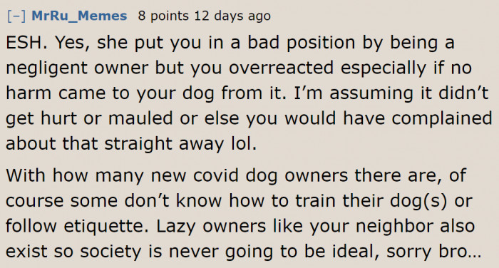 The OP just needs to accept that part of having a dog is dealing with irresponsible dog owners too.