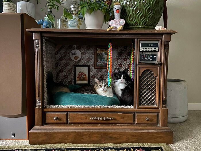 40. Found An Old Tube TV By The Trash. Now My Cats Have A New Spot!