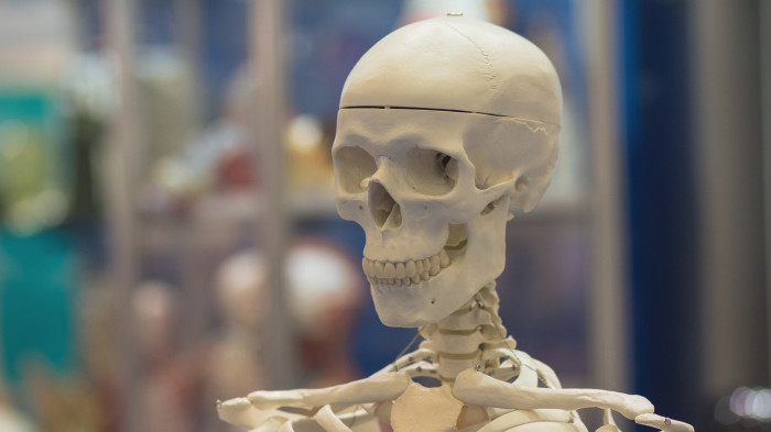 Close-up of human chin emphasizing theories about mate selection and evolution