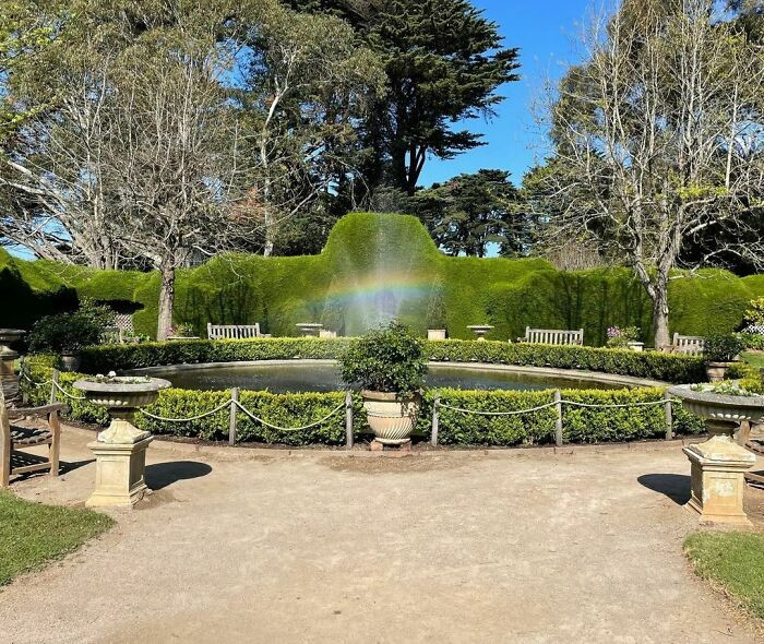 Budget-friendly separation using bushes.