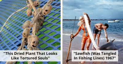 45 Times Nature Had People Frozen In Fear