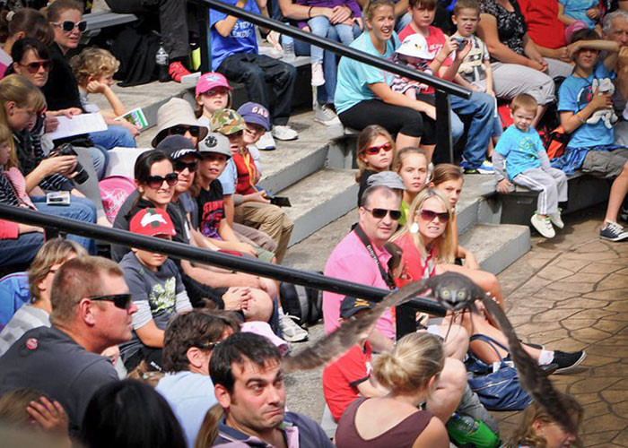 22. Spot what they are looking at