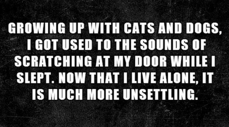 12. It's much more unsettling now that you live alone