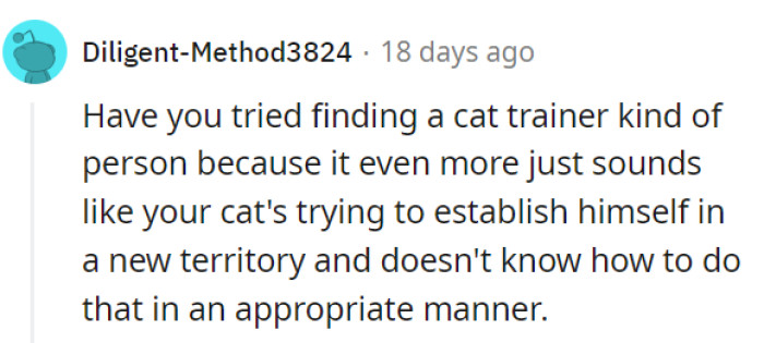 Seeking the help of a cat behaviorist or trainer could be a beneficial step in addressing the issues between your cat and Frankie.