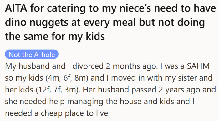 Freshly divorced and trying to rebuild, she moved in with her widowed sister to help care for their combined six kids.