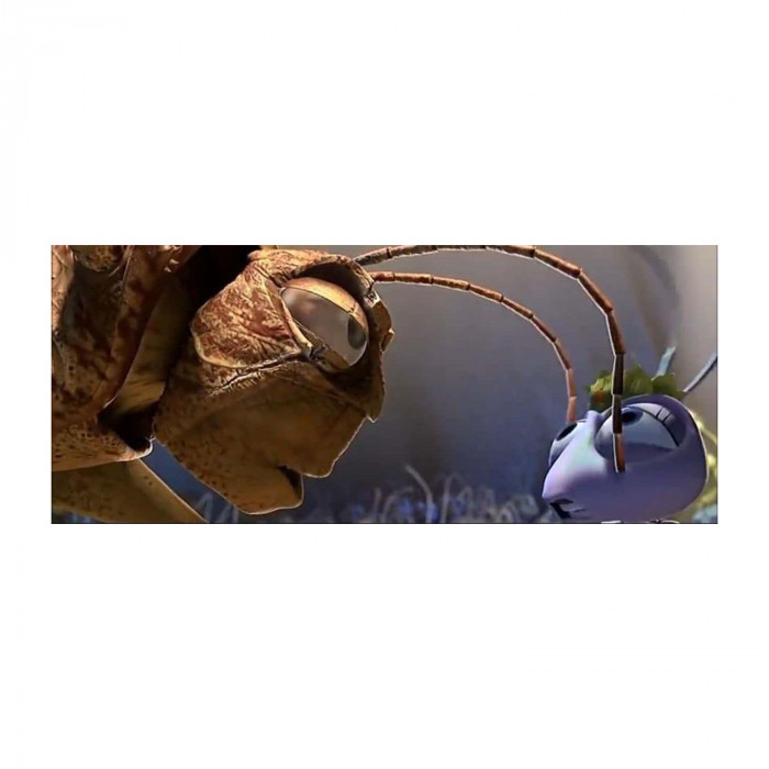 5. A Bug’s Life