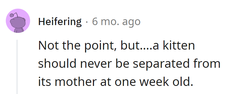 Separating a kitten at one week old is like launching a rocket before counting down.