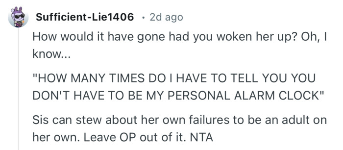 “Sis can stew about her own failures to be an adult on her own. Leave OP out of it. NTA”