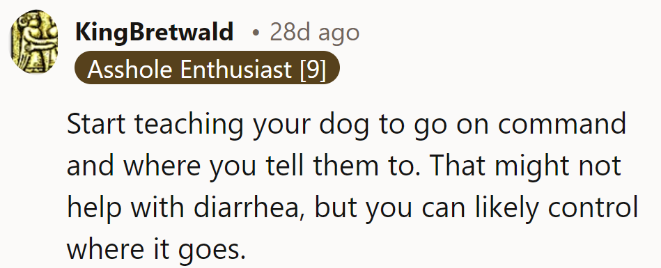 Train the dog to go on command. It won’t cure diarrhea, but it can control the location!