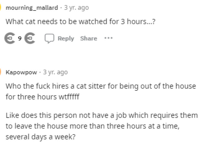 Again, people couldn't let this go, and we understand, honestly, because cats don't require too much care, especially over just three hours.