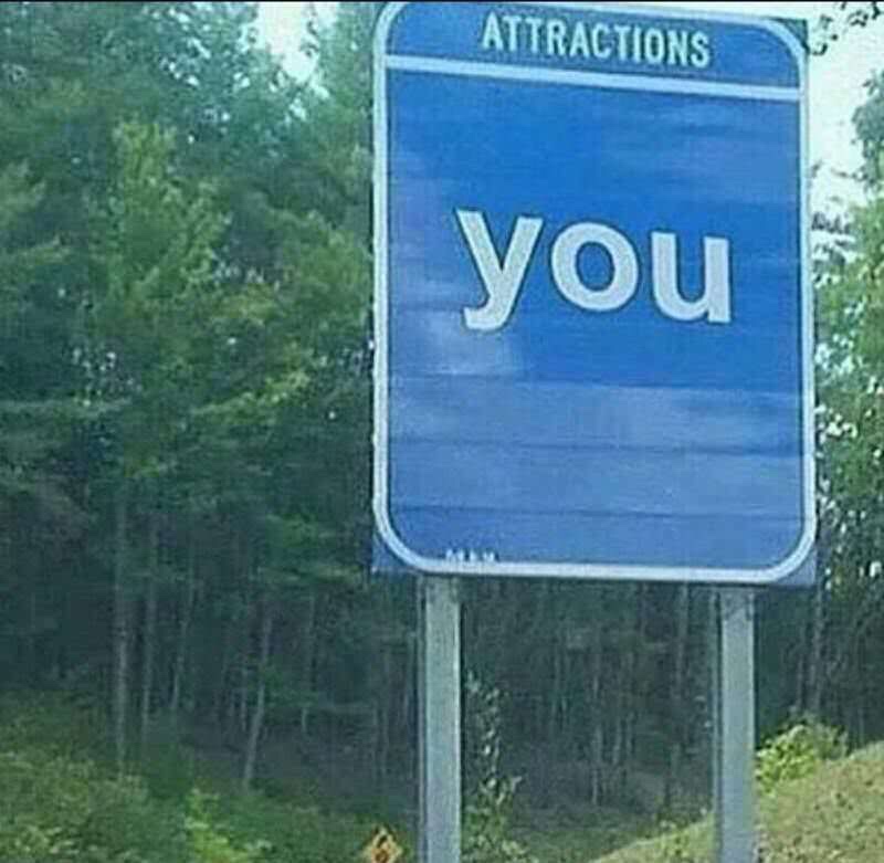 25. All the attraction I need