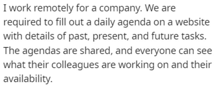 OP works a remote job for a company where everyone is given a daily agenda of tasks to complete