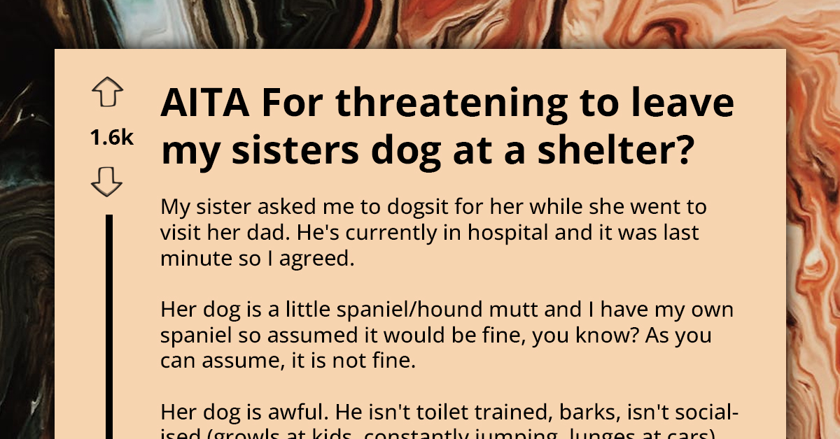 Fed-Up Dog Sitter Gives Sister Ultimatum To Either Send Money To Board Her Pup Or Pick It Up At Dog Shelter