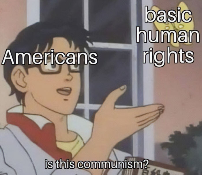 35. Is this communism?