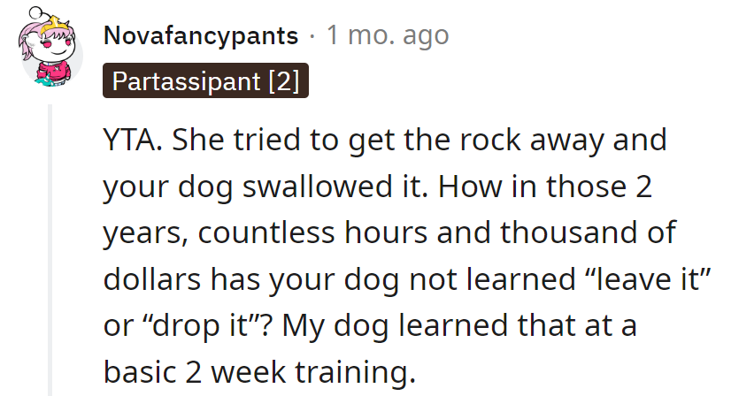 Looks like Dixie's 'rock solid' training hit a rocky patch!