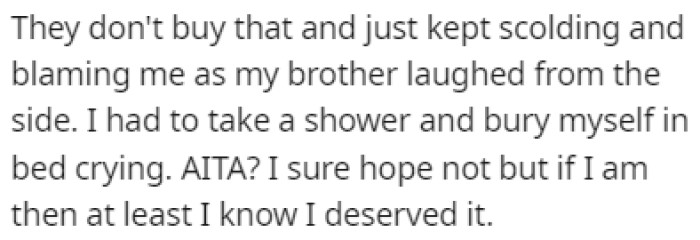 The parents had nothing to say to her brother who caused this whole mess