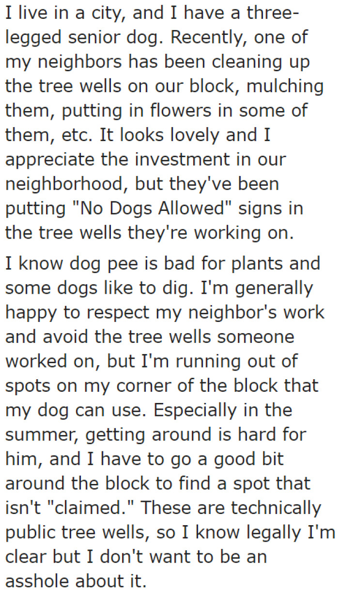The OP's neighbor maintains the nearby tree wells.