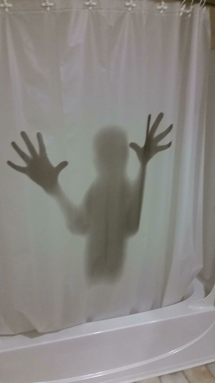 "My Friend's New Shower Curtain Scared Me When I Went To The Bathroom"