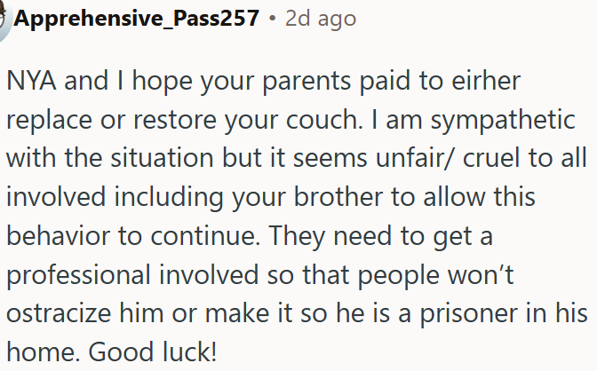 Parents should address her brother’s behavior with professional help to prevent isolation and protect others’ belongings.