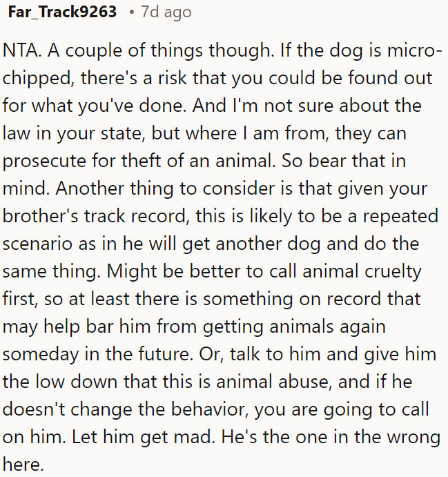 If the dog is microchipped, there's a chance OP could be tracked down for what he did.