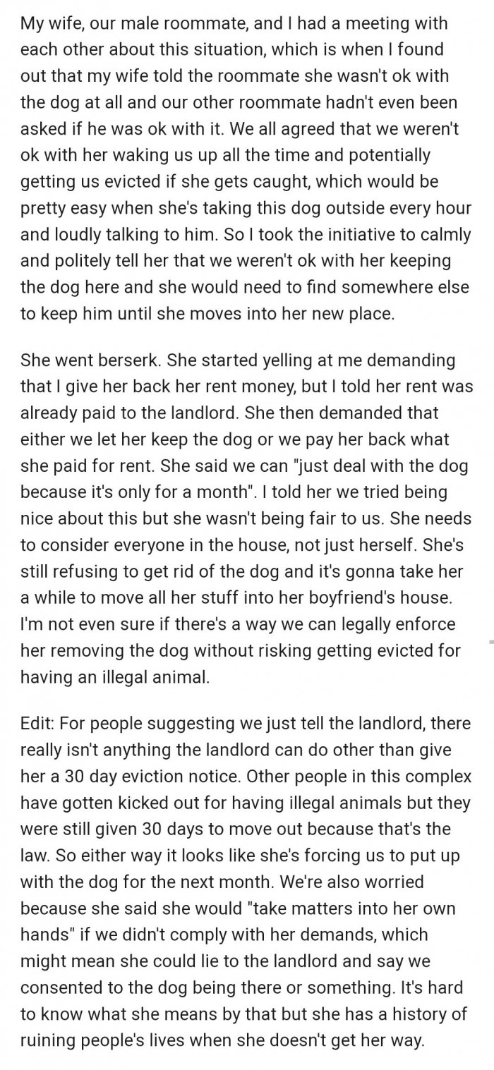 2. However, when OP found out that their roommate didn't approve of the dog, they decided to confront her.