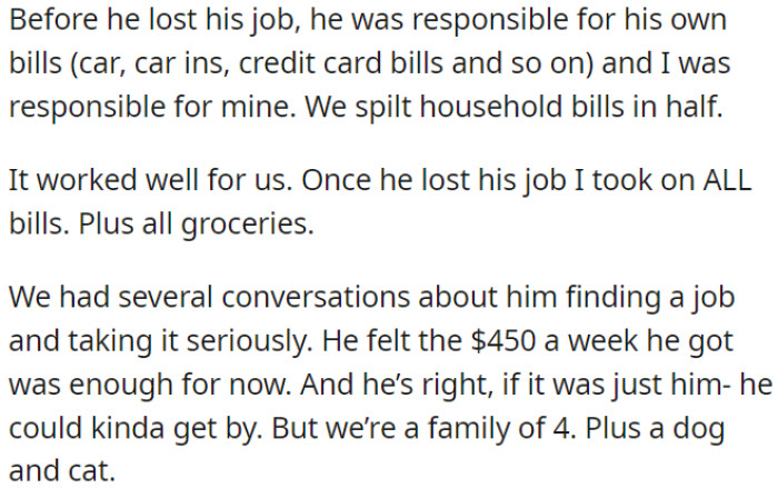 Their financial responsibilities shifted dramatically; OP had to cover all bills, groceries, and expenses for a family of four, along with their pets.