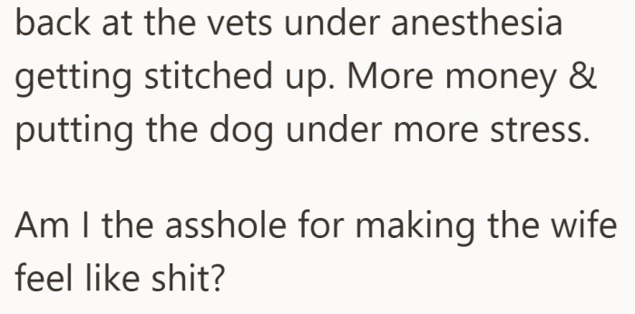 With the dog back at the vet, the focus shifts to whether anger helped or made things worse.