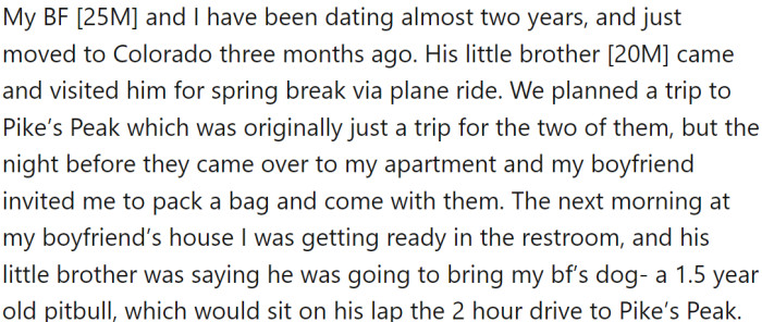 OP and her boyfriend have been dating for almost two years and recently moved to Colorado. During spring break, her boyfriend's little brother came to visit them via plane.