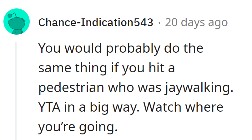 Comparing dog collisions to jaywalking humans? Eyes on the road, pal.
